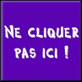 www.rigolus.com 